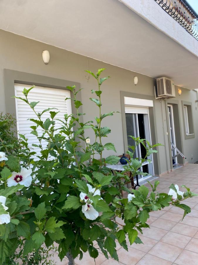 Ilisia Neapoli Apartments 1 Neapoli Voion 외부 사진